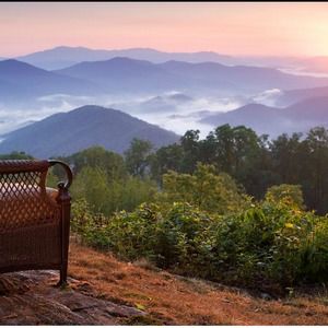 Meet your Posher, Shari